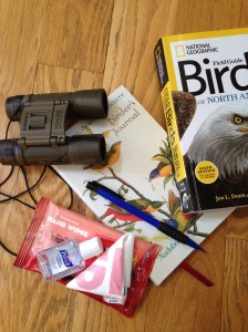 There are the main elements in my birding bag. Bushnell Binoculars, a bird guide book, birding journal, wipes, hand sanitizer, a pencil and a plastic bag for any trash we find.