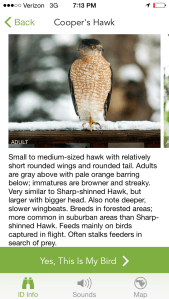 The app also has bird sounds which can help identify the bird as well!